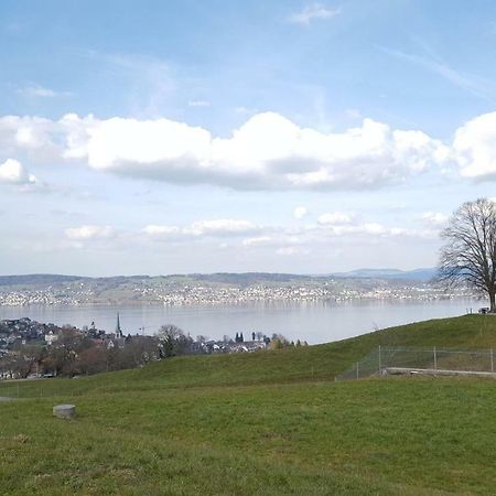 Lake View Private Studio Hotel Richterswil Exterior photo