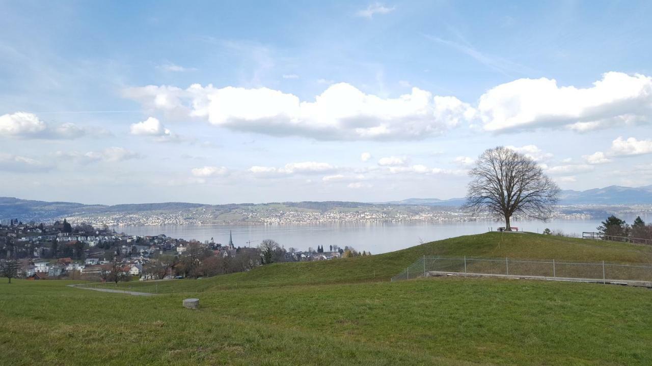 Lake View Private Studio Hotel Richterswil Exterior photo